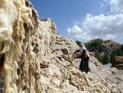 Doğulu kadınların yün çilesi bitmiyor